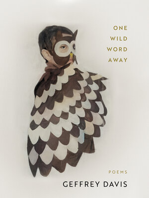 cover image of One Wild Word Away